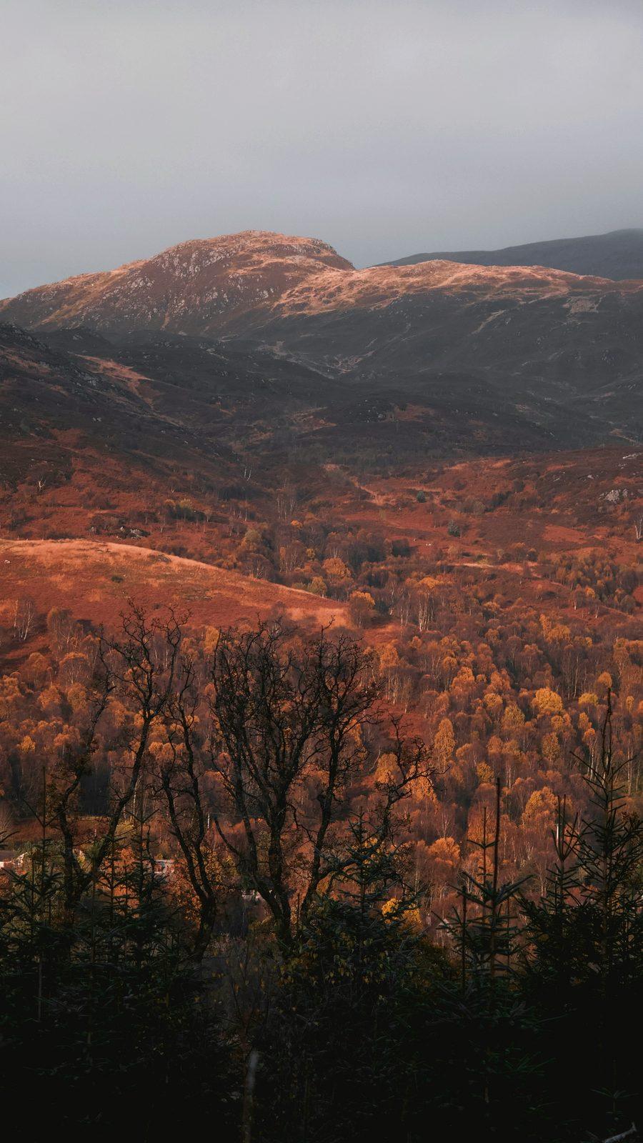 Autumn colour across a Perthshire glen