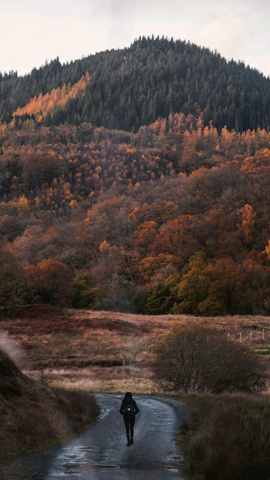 Walking a quiet glen road in autumn
